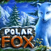 Polar Fox 