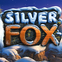Silver Fox 